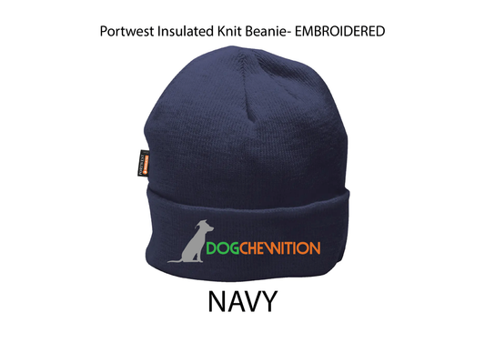 Insulated Beanie