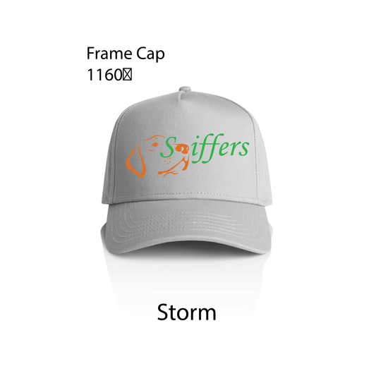 A Frame Cap - Sniffers
